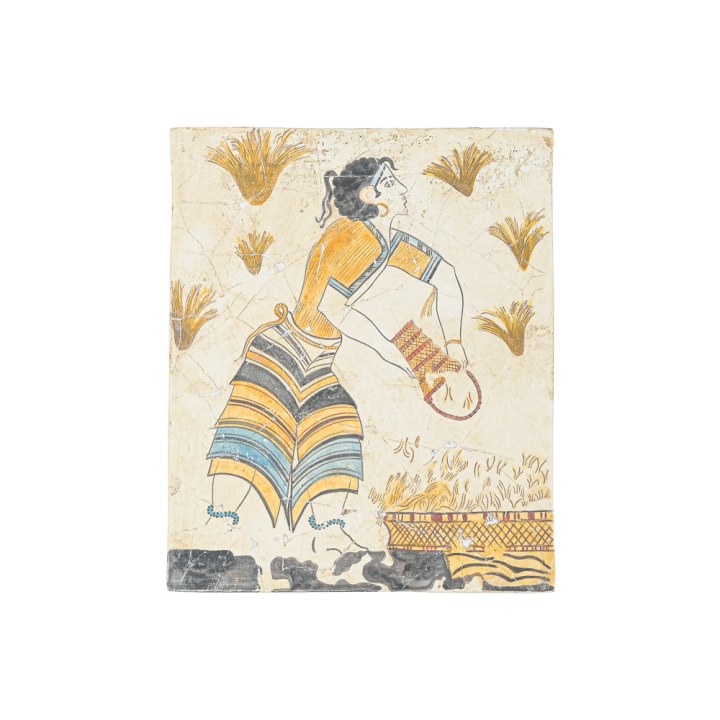 Woman picking crocuses from fields Woman picking crocuses from fields